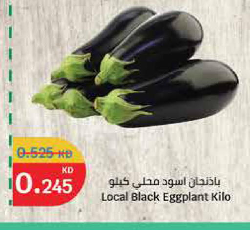 Eggplant available at City Hypermarket in Kuwait - Ahmadi Governorate