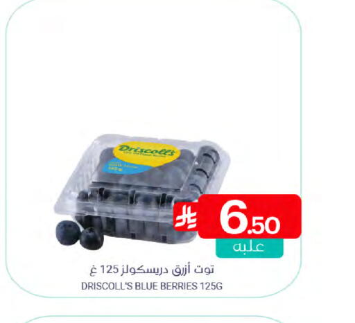 Berries available at Muntazah Markets in KSA, Saudi Arabia, Saudi - Qatif