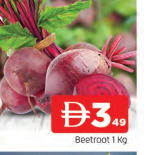 شمندر available at المدينة in الإمارات العربية المتحدة , الامارات - الشارقة / عجمان