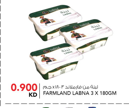 لبنة available at النصر هايبر ماركت in الكويت - محافظة الأحمدي