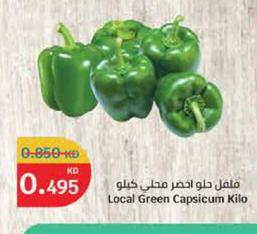 Chilli / Capsicum available at City Hypermarket in Kuwait - Ahmadi Governorate