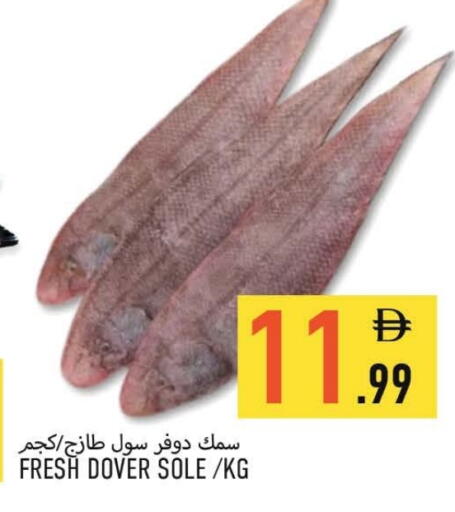 available at  روابي ماركت عجمان in الإمارات العربية المتحدة , الامارات - الشارقة / عجمان