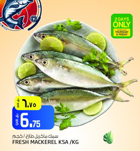 available at Kenz Mini Mart in Qatar - Al Shamal