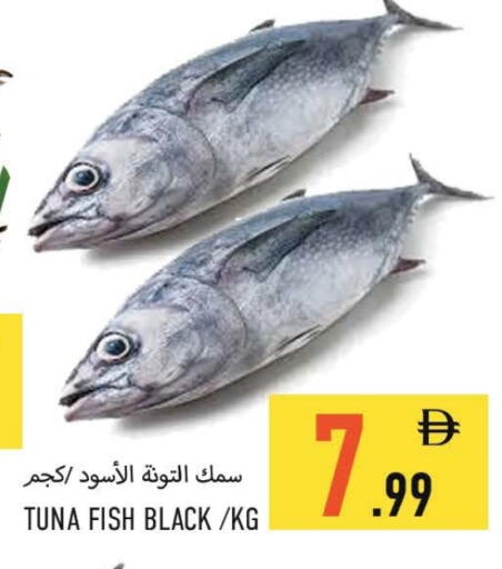 تونة available at  روابي ماركت عجمان in الإمارات العربية المتحدة , الامارات - الشارقة / عجمان