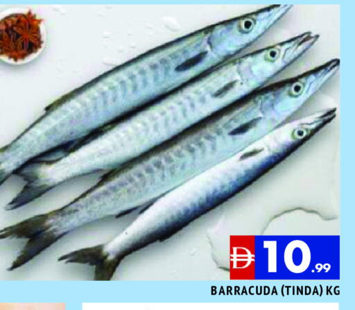 available at المدينة in الإمارات العربية المتحدة , الامارات - الشارقة / عجمان