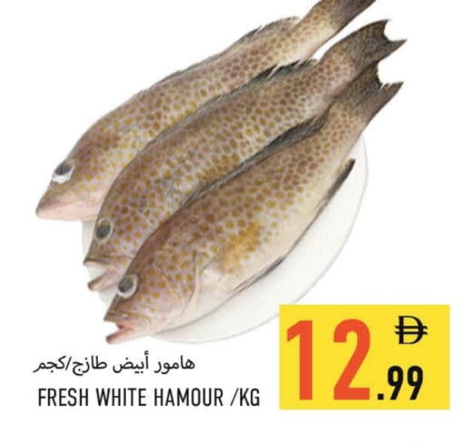 available at  روابي ماركت عجمان in الإمارات العربية المتحدة , الامارات - الشارقة / عجمان