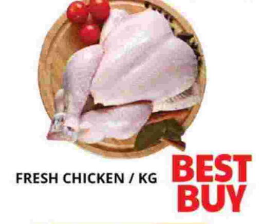 دجاج كامل طازج available at اكسبرس المدينة هايبرماركت in الإمارات العربية المتحدة , الامارات - أبو ظبي