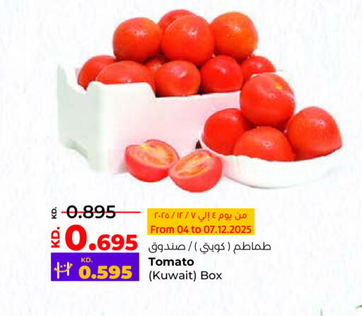 Tomato from Kuwait available at Lulu Hypermarket  in Kuwait - Ahmadi Governorate