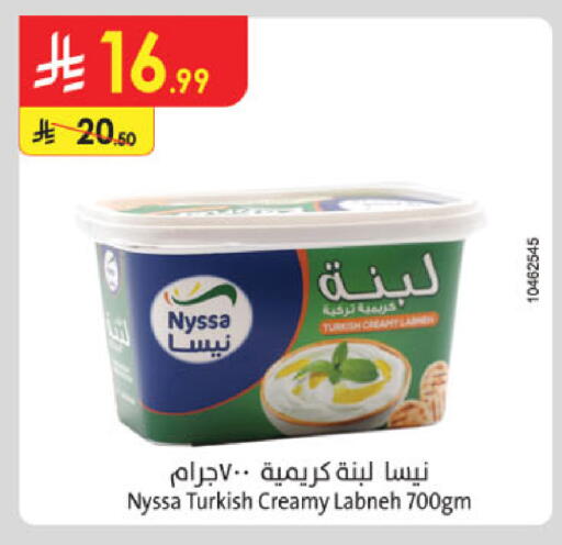 Labneh available at Danube in KSA, Saudi Arabia, Saudi - Unayzah