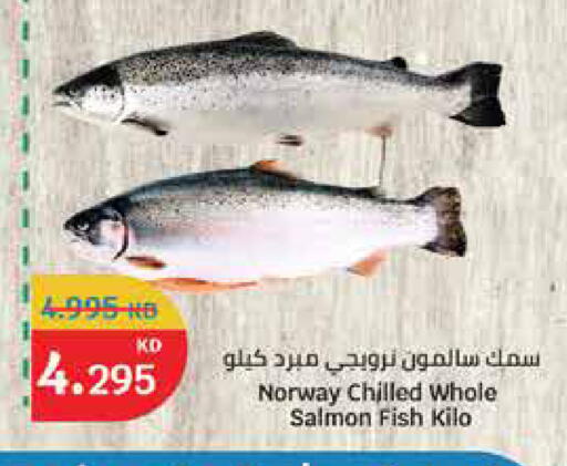 available at City Hypermarket in Kuwait - Ahmadi Governorate