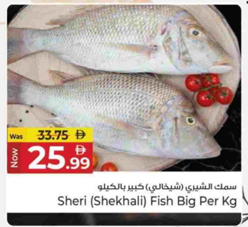 available at كنز هايبرماركت in الإمارات العربية المتحدة , الامارات - الشارقة / عجمان