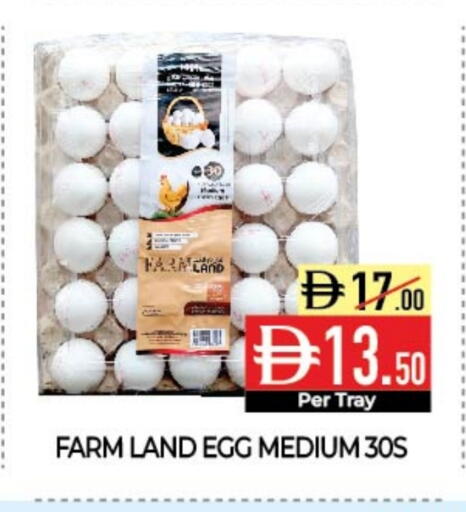 available at Delice Supermarket in UAE - Abu Dhabi