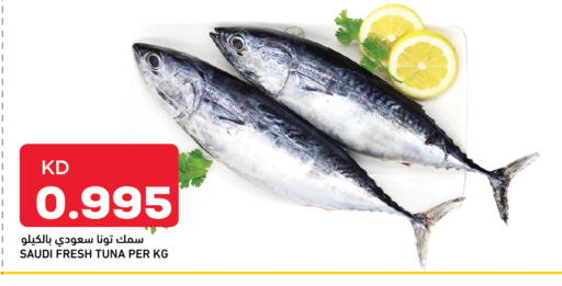 Tuna available at Oncost in Kuwait - Ahmadi Governorate