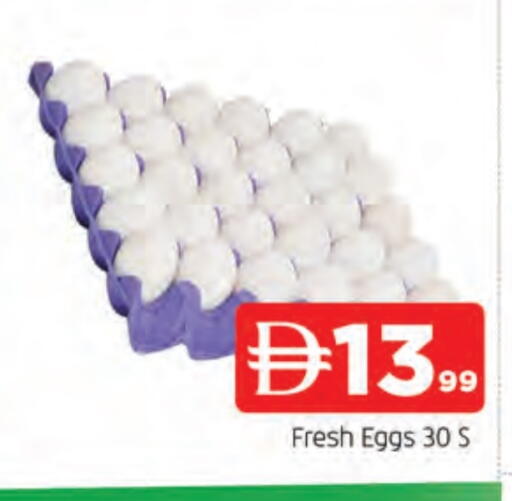 available at المدينة in الإمارات العربية المتحدة , الامارات - الشارقة / عجمان