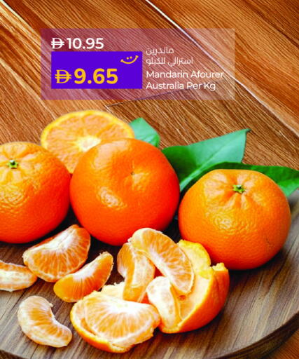 برتقال from Australia available at لولو هايبرماركت in الإمارات العربية المتحدة , الامارات - ٱلْفُجَيْرَة‎