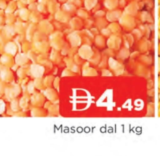 available at المدينة in الإمارات العربية المتحدة , الامارات - الشارقة / عجمان