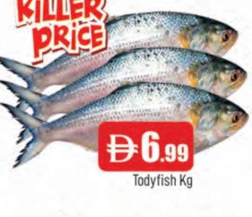 available at المدينة in الإمارات العربية المتحدة , الامارات - الشارقة / عجمان