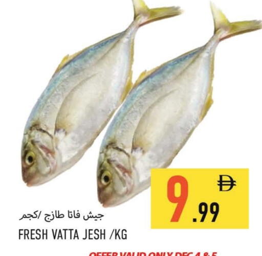 available at  روابي ماركت عجمان in الإمارات العربية المتحدة , الامارات - الشارقة / عجمان