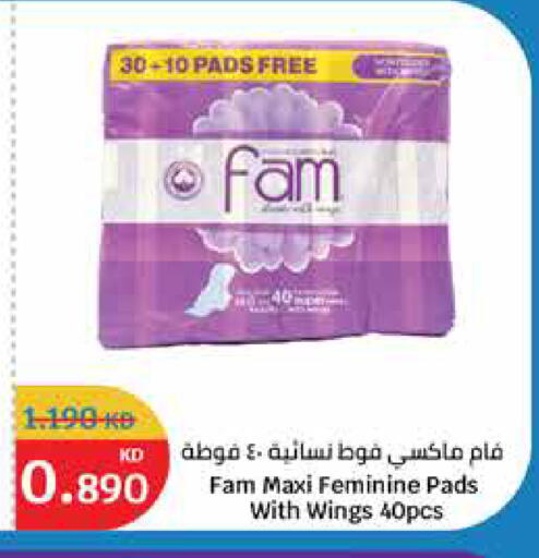 فام available at سيتي هايبرماركت in الكويت - محافظة الأحمدي