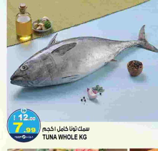 تونة available at هاشم هايبرماركت in الإمارات العربية المتحدة , الامارات - الشارقة / عجمان