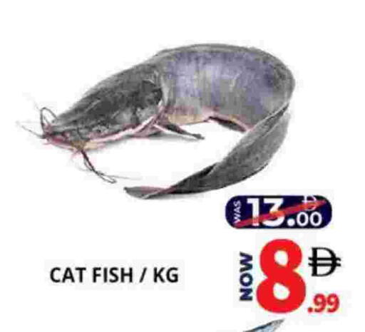 available at اكسبرس المدينة هايبرماركت in الإمارات العربية المتحدة , الامارات - أبو ظبي