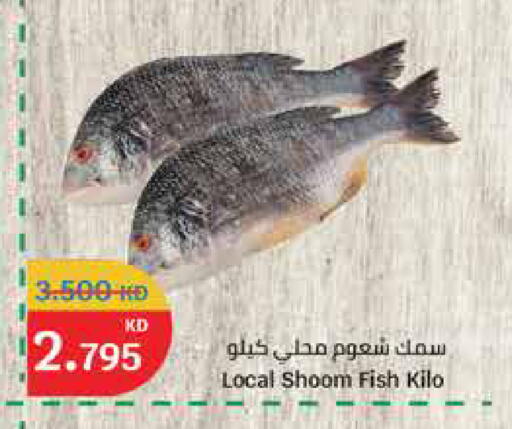 available at City Hypermarket in Kuwait - Ahmadi Governorate