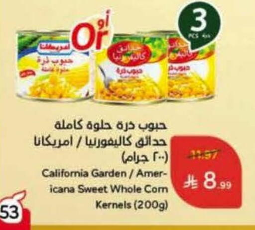 أمريكانا available at هايبر بنده in مملكة العربية السعودية, السعودية, سعودية - بيشة