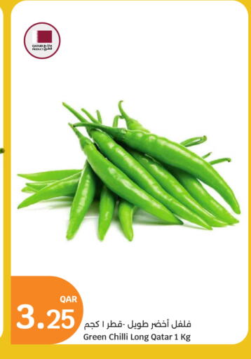 Chilli / Capsicum from Qatar available at City Hypermarket in Qatar - Al-Shahaniya