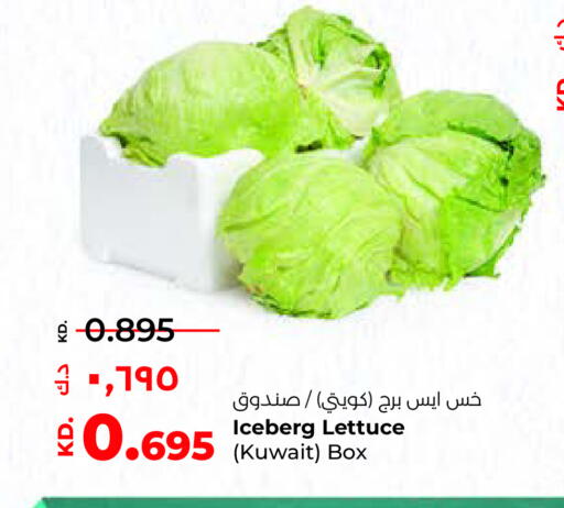 Lettuce from Kuwait available at Lulu Hypermarket  in Kuwait - Ahmadi Governorate