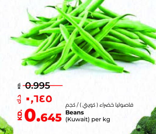 Beans from Kuwait available at Lulu Hypermarket  in Kuwait - Ahmadi Governorate