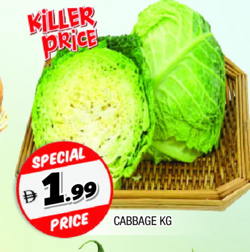 كرنب available at المدينة in الإمارات العربية المتحدة , الامارات - الشارقة / عجمان