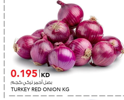 Onion from Turkey available at  ALNASSER HYPERMARKET in Kuwait - Ahmadi Governorate