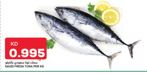 Tuna available at Gulfmart in Kuwait - Ahmadi Governorate