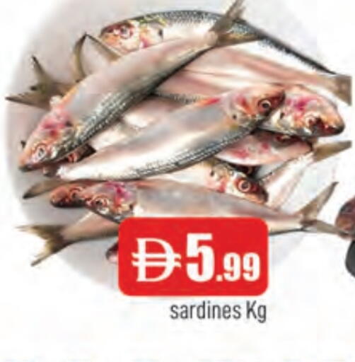 available at المدينة in الإمارات العربية المتحدة , الامارات - الشارقة / عجمان