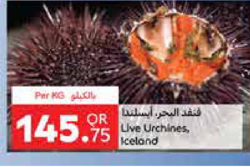 available at Carrefour in Qatar - Al Shamal