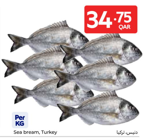 available at كارفور in قطر - الريان