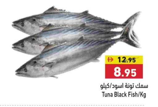 تونة available at أسواق رامز in الإمارات العربية المتحدة , الامارات - الشارقة / عجمان