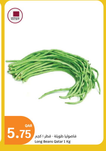 Beans from Qatar available at City Hypermarket in Qatar - Al-Shahaniya