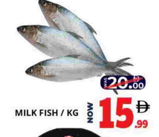 available at اكسبرس المدينة هايبرماركت in الإمارات العربية المتحدة , الامارات - أبو ظبي