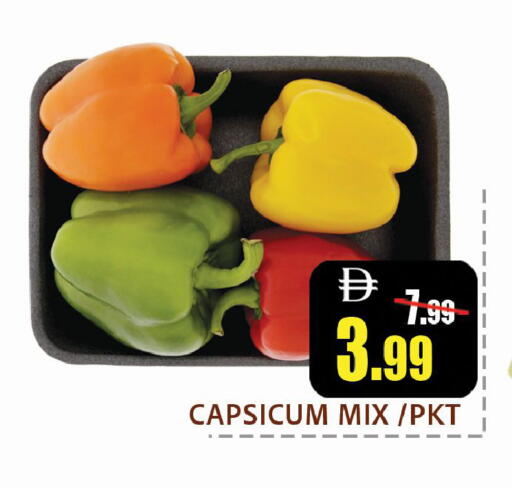 Chilli / Capsicum available at Leptis Hypermarket  in UAE - Ras al Khaimah