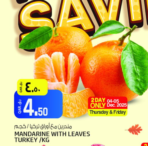 from Turkey available at Kenz Mini Mart in Qatar - Al Shamal