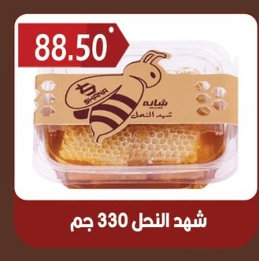 available at هايبر القدس in Egypt - القاهرة