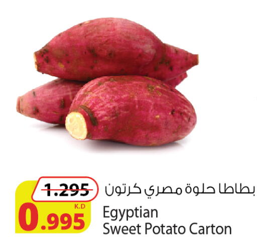 Sweet Potato from Egypt available at Agricultural Food Products Co. in Kuwait - Kuwait City