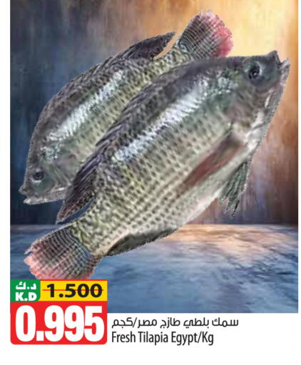 Mango available at مانجو هايبرماركت in الكويت - محافظة الأحمدي