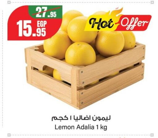 Lemon from Egypt available at جيان مصر in Egypt - القاهرة