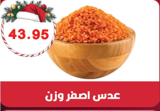 available at هايبر القدس in Egypt - القاهرة
