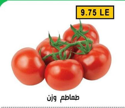 available at Ben Seleman in Egypt - Cairo