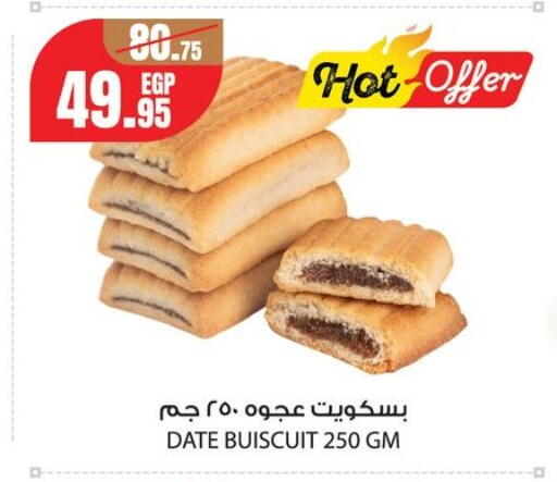 Date available at جيان مصر in Egypt - القاهرة