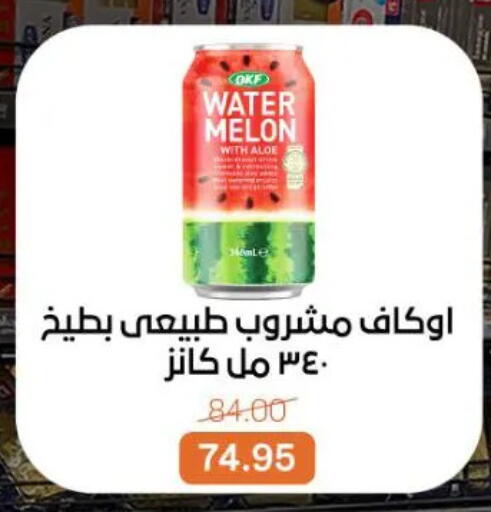 Melon available at Gomla Market in Egypt - Cairo