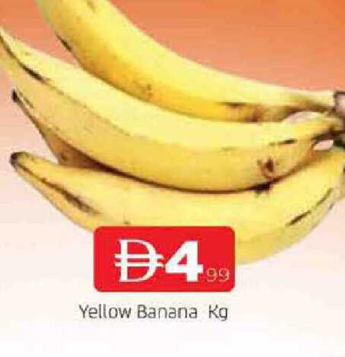 Banana available at المدينة in الإمارات العربية المتحدة , الامارات - الشارقة / عجمان